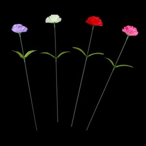 康乃馨小支花