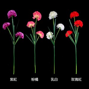 繡球花