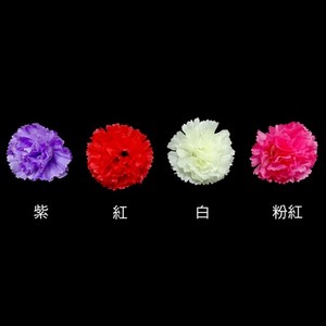 康乃馨小花朵